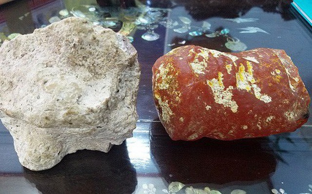 Nhặt được khối đá xù xì dạt bờ biển, ngư dân trúng lớn 12 tỷ đồng - 6 Nhặt được khối đá xù xì dạt bờ biển, ngư dân trúng lớn 12 tỷ đồng - 6