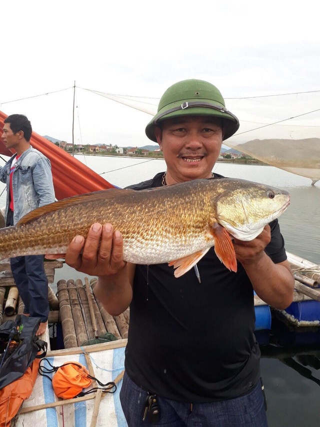 Câu được cá nghi sủ vàng nặng 7kg trên sông Gianh - 1 Câu được cá nghi sủ vàng nặng 7kg trên sông Gianh - 1