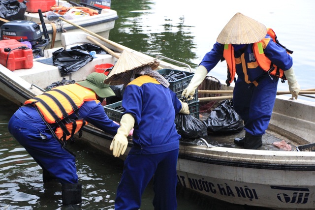 Hà Nội: Cá chết hàng loạt bốc mùi hôi thối trên hồ Trúc Bạch - 11 Hà Nội: Cá chết hàng loạt bốc mùi hôi thối trên hồ Trúc Bạch - 11