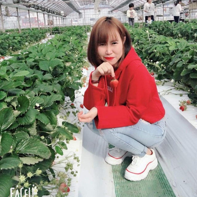 Tá»t nghiá»p Äại há»c không xin ÄÆ°á»£c viá»c, cô gái Nghá» An Äi Nháºt nhặt lá tÃa tô - 3