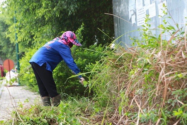 Hà Nội: Phát quang bụi rậm ở khu chung cư từng xuất hiện nhiều rắn độc - 7 Hà Nội: Phát quang bụi rậm ở khu chung cư từng xuất hiện nhiều rắn độc - 7