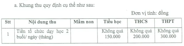 Những mức thu ngoài học phí của các trường tại TP.HCM - Ảnh 2