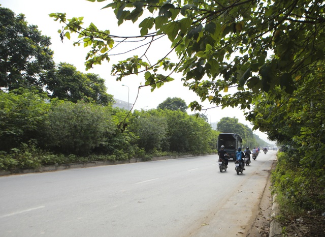 Nhìn từ trên cao rừng tái sinh suốt 24km dọc đại lộ Thăng Long - 13 Nhìn từ trên cao rừng tái sinh suốt 24km dọc đại lộ Thăng Long - 13