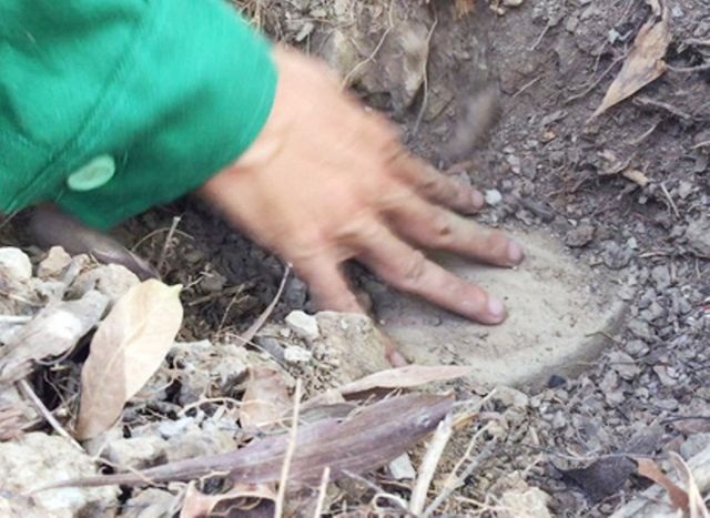 Cà Mau phân công đơn vị chịu trách nhiệm xử lý khi có xác thai nhi trong rác - 2 Cà Mau phân công đơn vị chịu trách nhiệm xử lý khi có xác thai nhi trong rác - 2