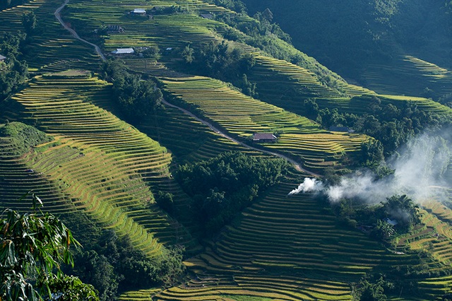 Chiêm ngưỡng mùa thu vàng Sa Pa - 1