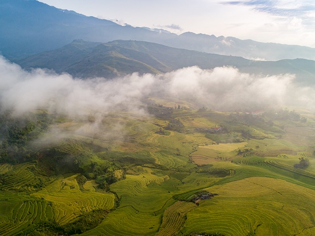 Chiêm ngưỡng mùa thu vàng Sa Pa - 2