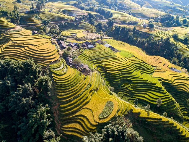 Chiêm ngưỡng mùa thu vàng Sa Pa - 6