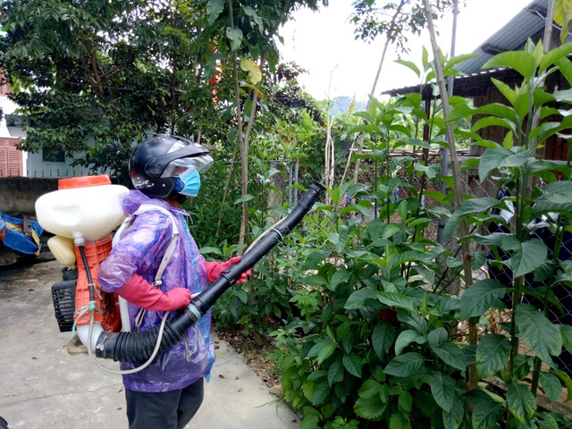 Số ca mắc sốt xuất huyết ở Quảng Nam tăng cao Số ca mắc sốt xuất huyết ở Quảng Nam tăng cao