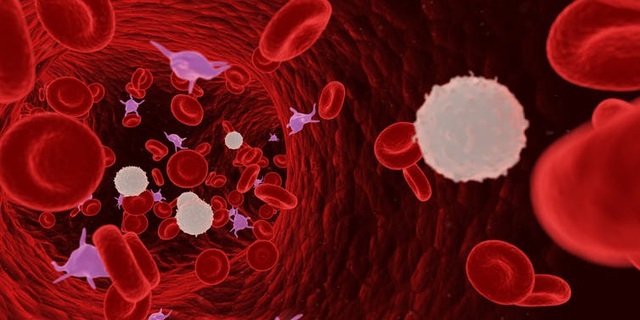 Khoa học cùng với bé: Bạch cầu trong máu giúp chúng ta chống lại bệnh tật như thế nào? - 1