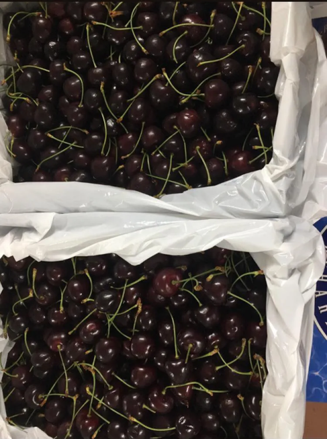 Thương chiến kéo tụt giá cherry: Hàng Mỹ hay đồ Trung Quốc? - 2 Thương chiến kéo tụt giá cherry: Hàng Mỹ hay đồ Trung Quốc? - 2