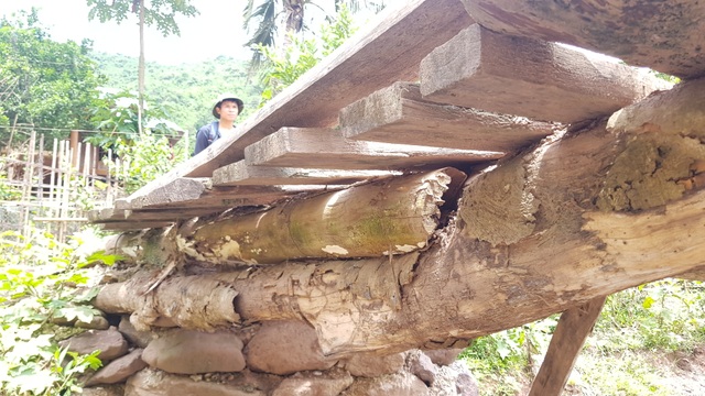Na Kho khao khát một cây cầu giữa đại ngàn heo hút - 10 Na Kho khao khát một cây cầu giữa đại ngàn heo hút - 10