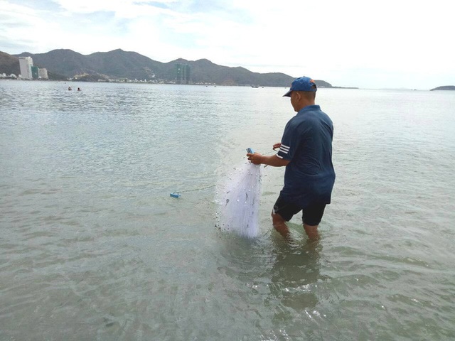 Săn lộc rơi của biển - 1 Săn lộc rơi của biển - 1