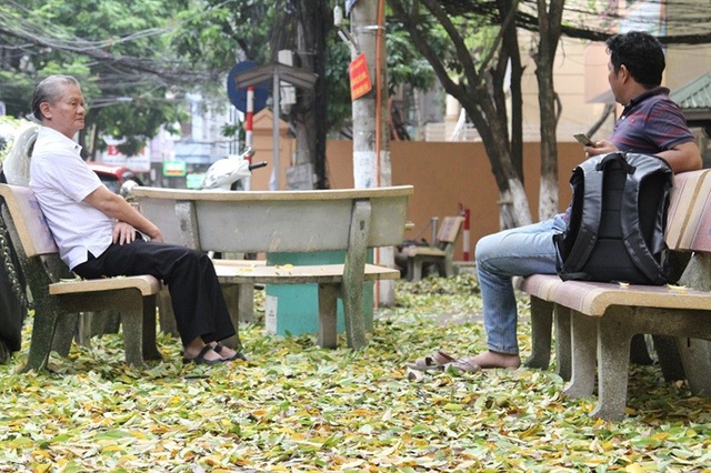 Hàng cây sưa quý ở Hà Nội bất ngờ rụng lá sau khi từ chối bán - 5 Hàng cây sưa quý ở Hà Nội bất ngờ rụng lá sau khi từ chối bán - 5