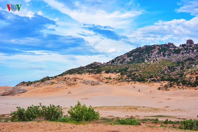 CÃ³ gÃ¬ á» vÃ¹ng Äáº¥t Ninh Thuáº­n âgiÃ³ nhÆ° phang, náº¯ng nhÆ° rangâ - 7