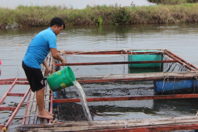 Người dân gạt bèo gánh cá đặc sản chạy mưa bão - 7 Người dân gạt bèo gánh cá đặc sản chạy mưa bão - 7