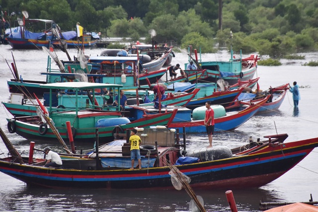 Ngư dân Hà Tĩnh chạy đua thời gian đưa tàu thuyền vào âu tránh bão - 5 Ngư dân Hà Tĩnh chạy đua thời gian đưa tàu thuyền vào âu tránh bão - 5