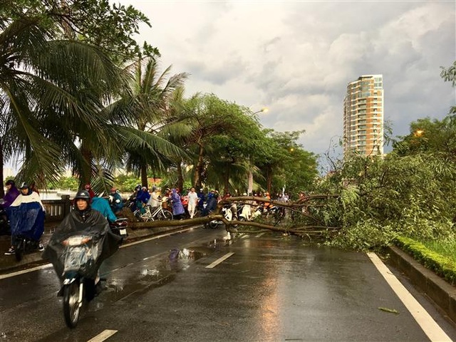 Hà Nội: Cây xanh đổ ngổn ngang, chèn bẹp ô tô, đè chết người trong giông lốc khủng - 1