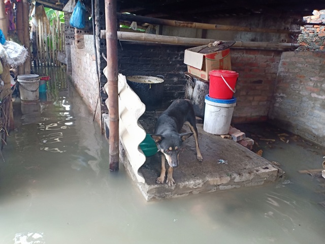 Dân thành phố khốn khổ vì... lội nước ngập - 8 Dân thành phố khốn khổ vì... lội nước ngập - 8