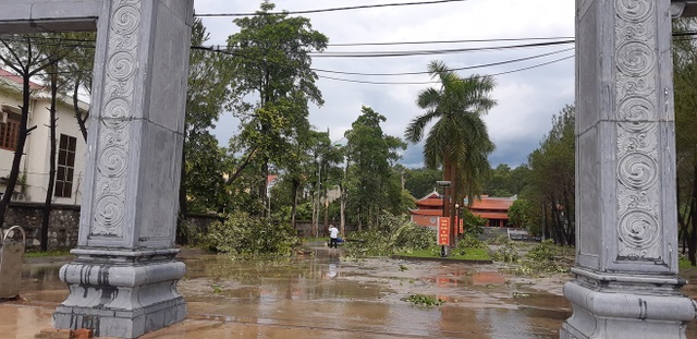 Giông lốc tàn phá hàng chục ngôi nhà, hàng trăm cây xanh - 11 Giông lốc tàn phá hàng chục ngôi nhà, hàng trăm cây xanh - 11