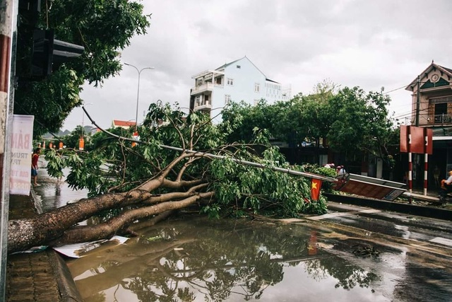 Giông lốc tàn phá hàng chục ngôi nhà, hàng trăm cây xanh - 12 Giông lốc tàn phá hàng chục ngôi nhà, hàng trăm cây xanh - 12