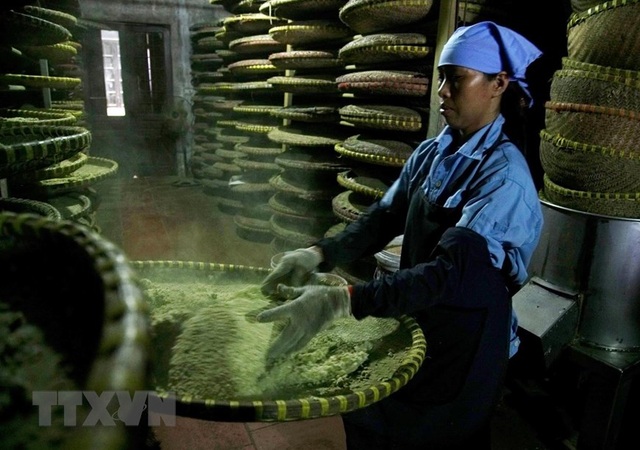 Những hình ảnh về nghề làm tương bần ở tỉnh Hưng Yên - 3 Những hình ảnh về nghề làm tương bần ở tỉnh Hưng Yên - 3
