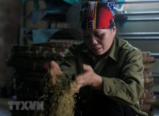 Những hình ảnh về nghề làm tương bần ở tỉnh Hưng Yên - 5 Những hình ảnh về nghề làm tương bần ở tỉnh Hưng Yên - 5