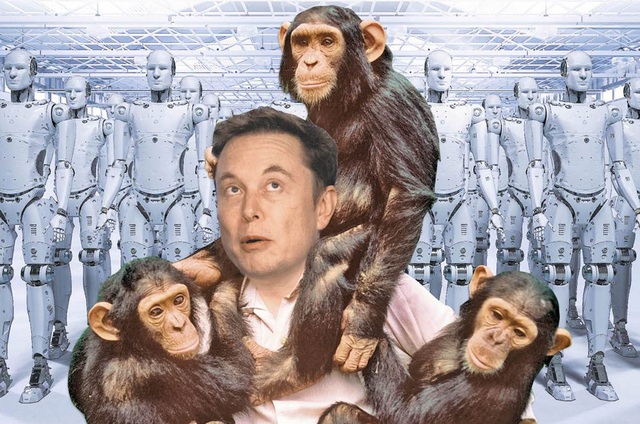 Elon Musk: “AI sẽ sớm khiến chúng ta trông giống như những con khỉ” - 1 Elon Musk: “AI sẽ sớm khiến chúng ta trông giống như những con khỉ” - 1
