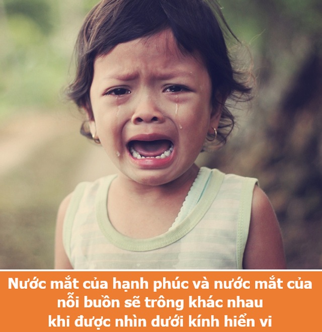 Loạt sự thật thú vị giải đáp những thắc mắc muôn thuở của chính bạn! - 8 Loạt sự thật thú vị giải đáp những thắc mắc muôn thuở của chính bạn! - 8