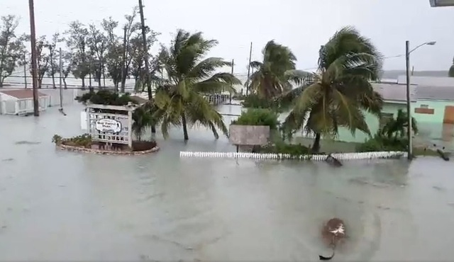 Bahamas đổ nát như “ngày tận thế” vì siêu bão “quái vật” Dorian - 6 Bahamas đổ nát như “ngày tận thế” vì siêu bão “quái vật” Dorian - 6