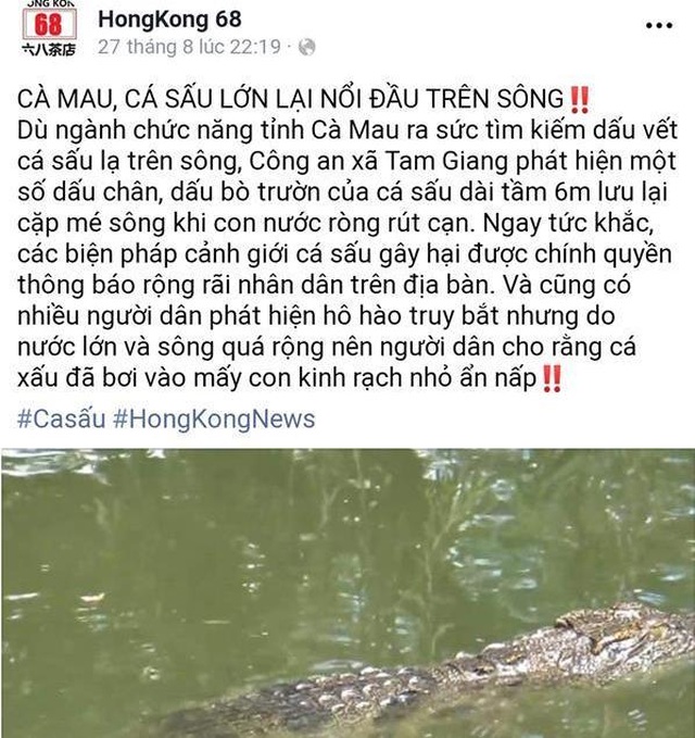Facebook đăng tin cá sấu nổi đầu trên sông ở Cà Mau là sai sự thật - 1 Facebook đăng tin cá sấu nổi đầu trên sông ở Cà Mau là sai sự thật - 1