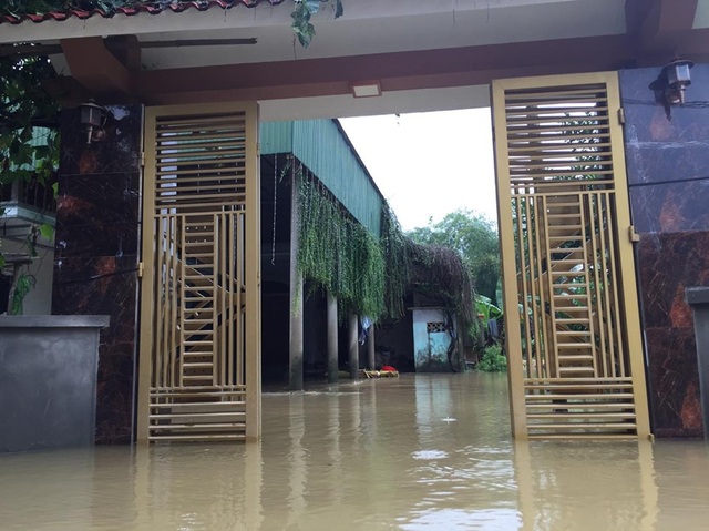 Dân bồng bế lợn gà, tài sản chạy lũ - 8 Dân bồng bế lợn gà, tài sản chạy lũ - 8