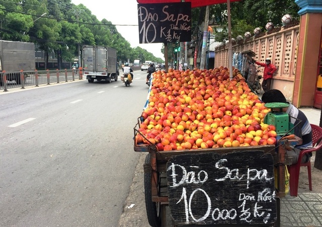 Đào, nho, mận Trung Quốc gắn mác Việt bày bán tràn ngập nhiều đường phố Sài Thành - 1