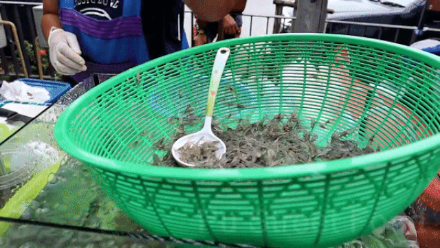 Món đặc sản khoái khẩu nhưng “tàn nhẫn” - 2 Món đặc sản khoái khẩu nhưng “tàn nhẫn” - 2