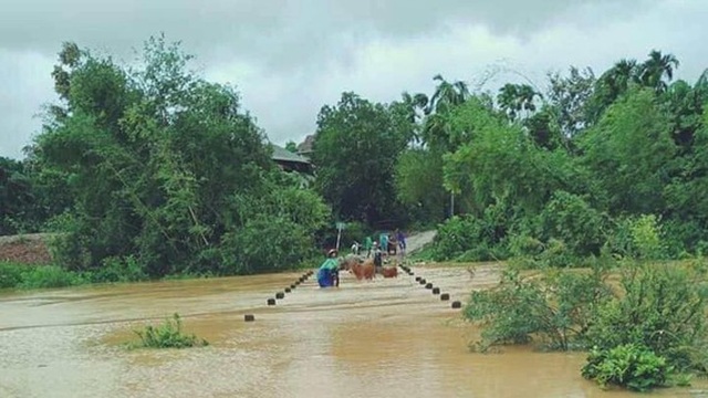 8 người mắc kẹt trong rừng sâu vì mưa lũ - 1 8 người mắc kẹt trong rừng sâu vì mưa lũ - 1