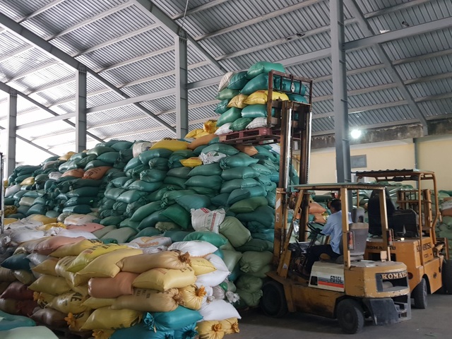 Máy sấy chạy hết công suất “cứu” hàng trăm tấn lúa ngập nước, nảy mầm - 6 Máy sấy chạy hết công suất “cứu” hàng trăm tấn lúa ngập nước, nảy mầm - 6