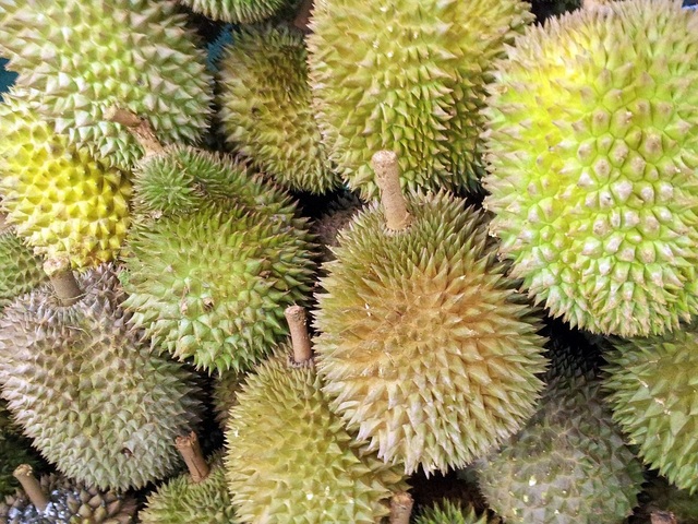 Người đàn ông tử nạn sau khi uống rượu nhắm với sầu riêng - 1 Người đàn ông tử nạn sau khi uống rượu nhắm với sầu riêng - 1