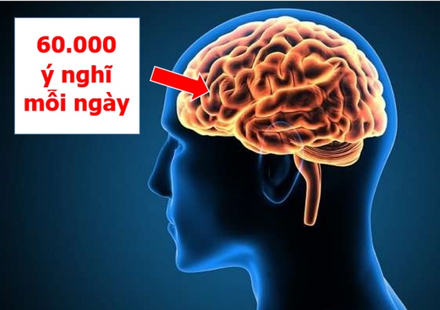Những điều điên rồ đang hàng ngày diễn ra trên cơ thể mà chúng ta không hay biết - 1 Những điều điên rồ đang hàng ngày diễn ra trên cơ thể mà chúng ta không hay biết - 1