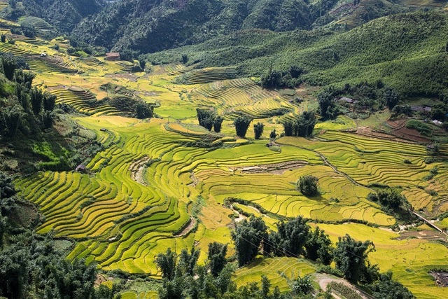 Fansipan đẹp lạ lùng với lung linh pháo hoa và những màn đua ngựa đậm chất Tây Bắc - 5 Fansipan đẹp lạ lùng với lung linh pháo hoa và những màn đua ngựa đậm chất Tây Bắc - 5