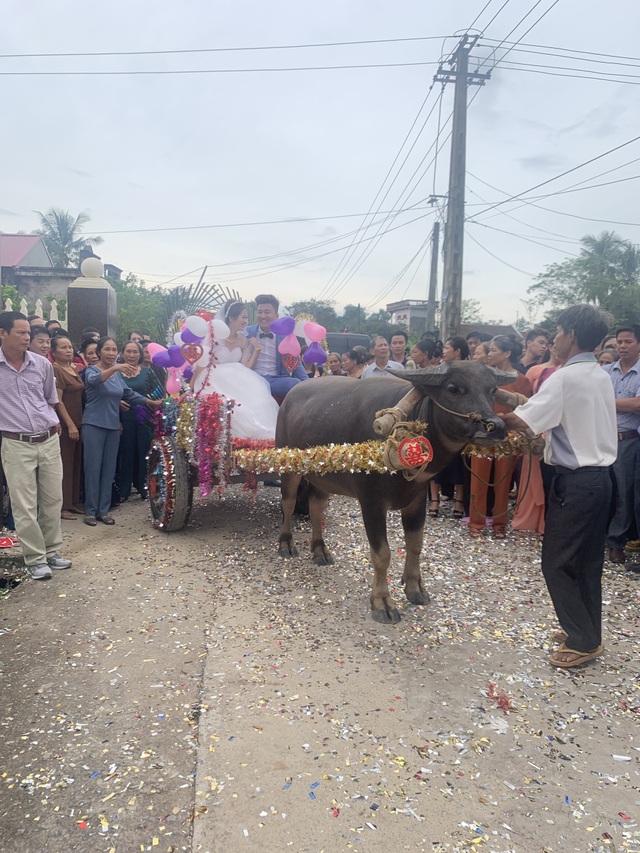 Chú rể Thanh Hóa dùng xe trâu đón dâu trong ngày cưới gây “sốt” mạng xã hội - 8 Chú rể Thanh Hóa dùng xe trâu đón dâu trong ngày cưới gây “sốt” mạng xã hội - 8