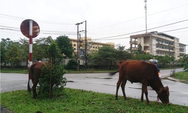 Thu hồi dự án nhà ở sinh viên hiện đại 200 tỷ đồng tại TP Huế - 1 Thu hồi dự án nhà ở sinh viên hiện đại 200 tỷ đồng tại TP Huế - 1