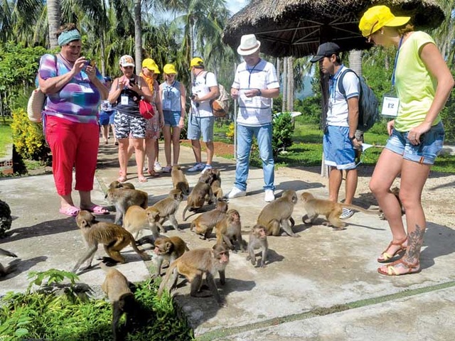 Đảo khỉ độc đáo ở Nha Trang lên báo nước ngoài - 1 Đảo khỉ độc đáo ở Nha Trang lên báo nước ngoài - 1