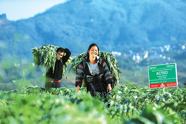 Người tiêu dùng “lạc” giữa mê cung thuốc giải độc gan - 3 Người tiêu dùng “lạc” giữa mê cung thuốc giải độc gan - 3