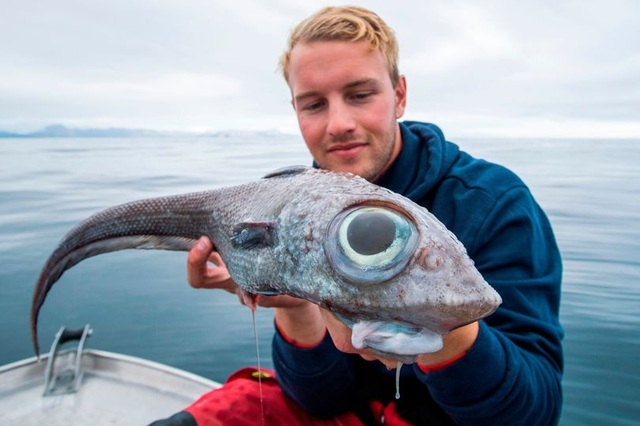 Catch a rare fish with huge bulging eyes as big as a light bulb - 1
