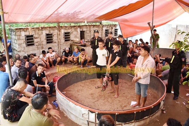 Công an đột kích sới đá gà “khủng” bắt 91 người - 1 Công an đột kích sới đá gà “khủng” bắt 91 người - 1