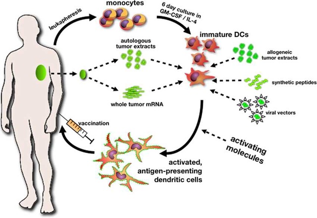 Vaccine trị ung thư: Tiềm năng và thách thức? - 3 Vaccine trị ung thư: Tiềm năng và thách thức? - 3