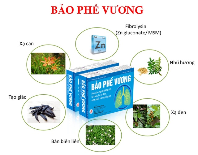 Bí quyết cải thiện các cơn ho, khó thở đến kiệt sức do bệnh phổi mạn tính - 4 Bí quyết cải thiện các cơn ho, khó thở đến kiệt sức do bệnh phổi mạn tính - 4