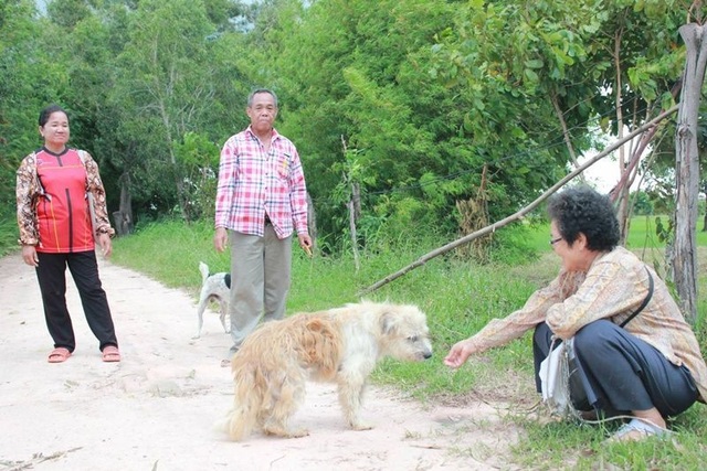 Chó trung thành đợi chủ suốt 4 năm, cuối cùng cũng gặp lại