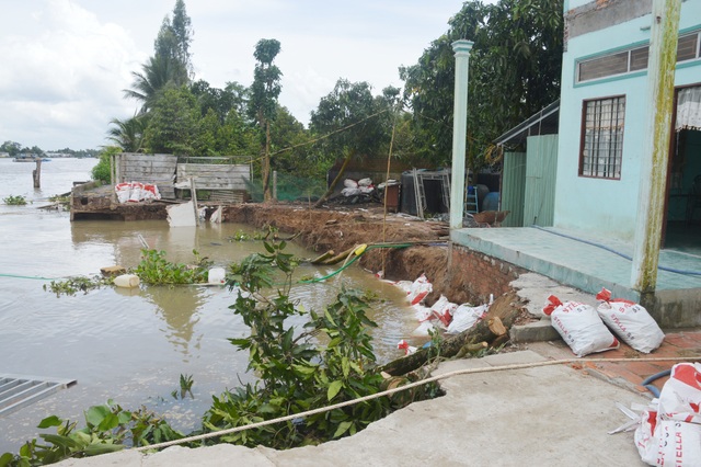 Hết bờ biển Tây, Cà Mau lại ban bố tình huống khẩn cấp sạt lở bờ biển Đông - 4 Hết bờ biển Tây, Cà Mau lại ban bố tình huống khẩn cấp sạt lở bờ biển Đông - 4