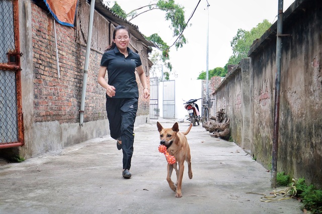 Chú chó Phú Quốc “lừng danh”, trả giá 350 triệu đồng không bán ở Hà Nội - 7