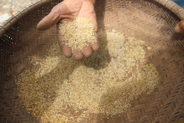 Cối xay lúa bằng tre “hồi sinh” sau nhiều thập kỷ bị lãng quên - 6 Cối xay lúa bằng tre “hồi sinh” sau nhiều thập kỷ bị lãng quên - 6